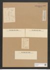 Diatomeae indet. Zeichnungen Sammlung Grunow Nr. 2902 (NHMW-BOT-W0370238)